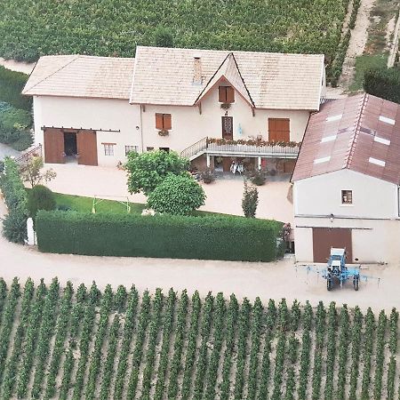 Chambres D Hotes Au Domaine De Robert Fleurie Dış mekan fotoğraf