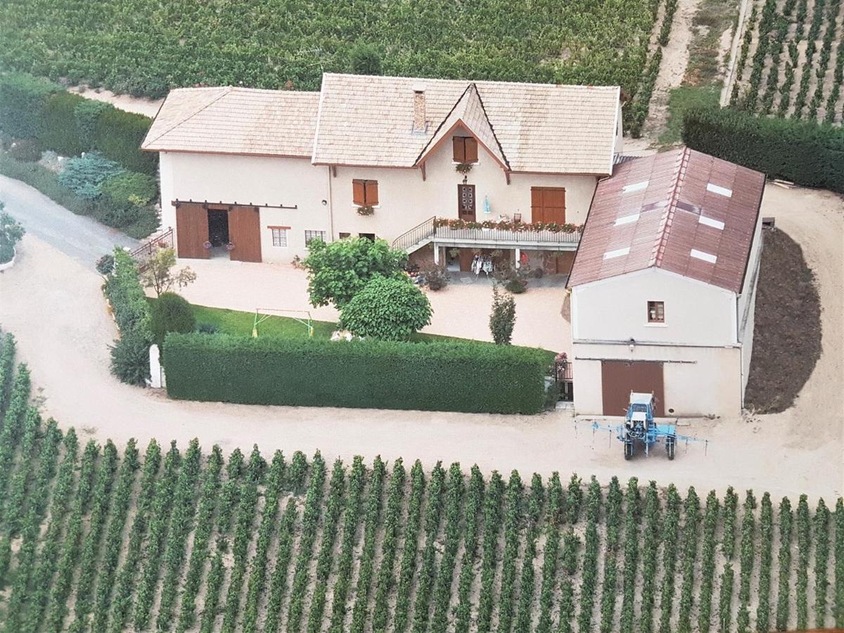 Chambres D Hotes Au Domaine De Robert Fleurie Dış mekan fotoğraf